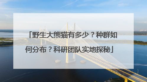 野生大熊猫有多少？种群如何分布？科研团队实地探秘