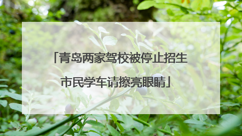 青岛两家驾校被停止招生 市民学车请擦亮眼睛