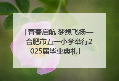 青春启航 梦想飞扬——合肥市五一小学举行2025届毕业典礼