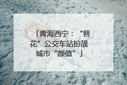 青海西宁：“簪花”公交车站扮靓城市“颜值”