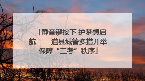 静音键按下 护梦想启航——道县城管多措并举保障“三考”秩序