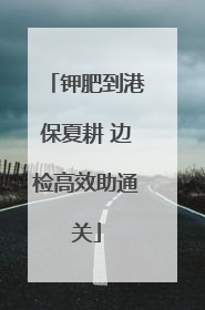 钾肥到港保夏耕 边检高效助通关