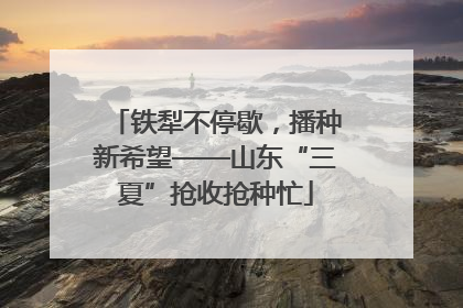 铁犁不停歇，播种新希望——山东“三夏”抢收抢种忙