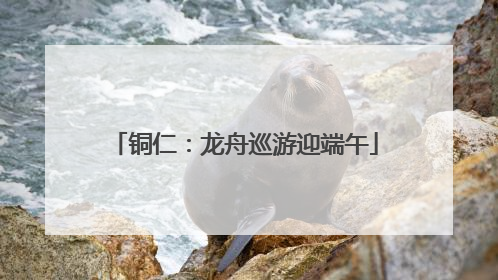 铜仁：龙舟巡游迎端午