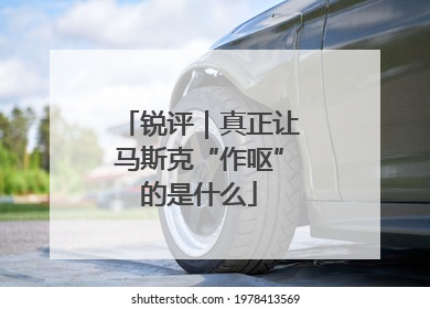 锐评｜真正让马斯克“作呕”的是什么