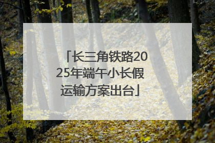 长三角铁路2025年端午小长假运输方案出台