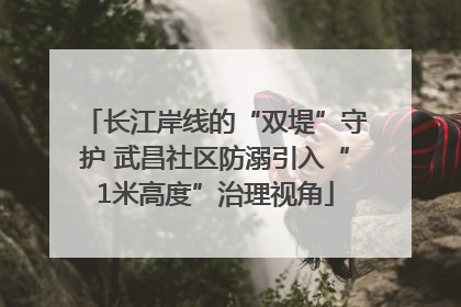 长江岸线的“双堤”守护 武昌社区防溺引入“1米高度”治理视角