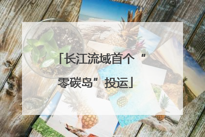 长江流域首个“零碳岛”投运