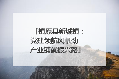 镇原县新城镇：党建领航风帆劲 产业铺就振兴路