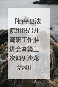 镇平县法院组织召开调研工作推进会暨第三次调研沙龙活动