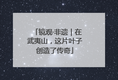 镜观·非遗｜在武夷山，这片叶子创造了传奇