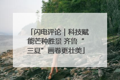 闪电评论｜科技赋能芒种胜景 齐鲁“三夏”画卷更壮美