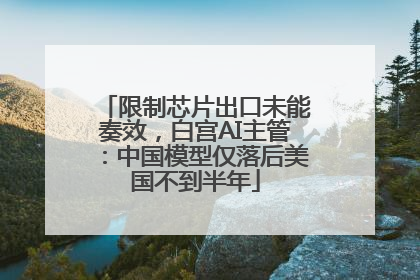 限制芯片出口未能奏效，白宫AI主管：中国模型仅落后美国不到半年