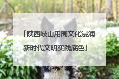陕西岐山用周文化浸润新时代文明实践底色