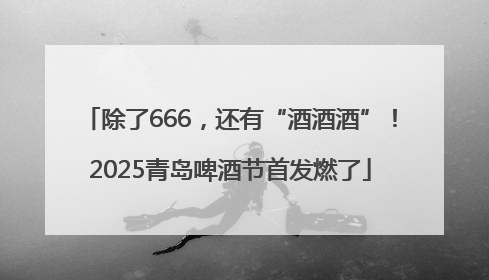 除了666，还有“酒酒酒”！2025青岛啤酒节首发燃了