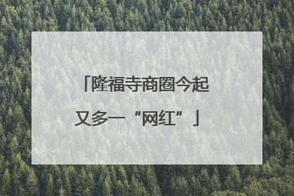 隆福寺商圈今起又多一“网红”