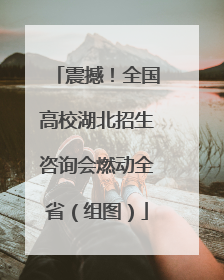 震撼！全国高校湖北招生咨询会燃动全省（组图）