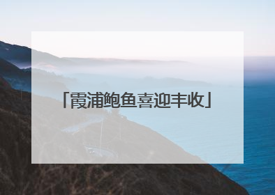 霞浦鲍鱼喜迎丰收