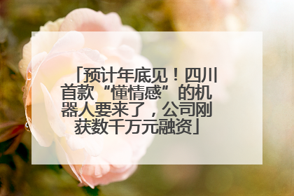 预计年底见！四川首款“懂情感”的机器人要来了，公司刚获数千万元融资