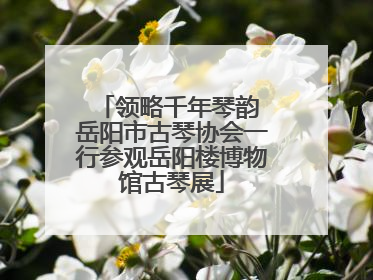 领略千年琴韵 岳阳市古琴协会一行参观岳阳楼博物馆古琴展