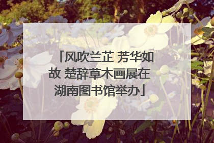 风吹兰芷 芳华如故 楚辞草木画展在湖南图书馆举办