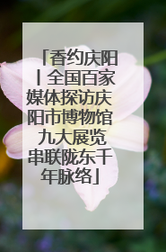 香约庆阳丨全国百家媒体探访庆阳市博物馆 九大展览串联陇东千年脉络