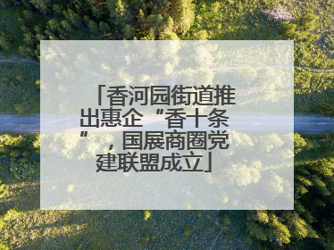 香河园街道推出惠企“香十条”，国展商圈党建联盟成立
