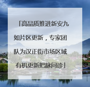 高品质推进新安九如片区更新，专家团队为汉正街市场区域有机更新把脉问诊
