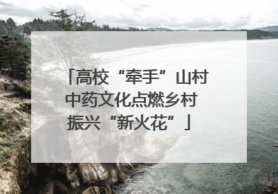 高校“牵手”山村 中药文化点燃乡村振兴“新火花”