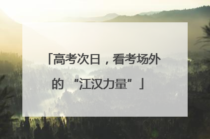高考次日，看考场外的 “江汉力量”