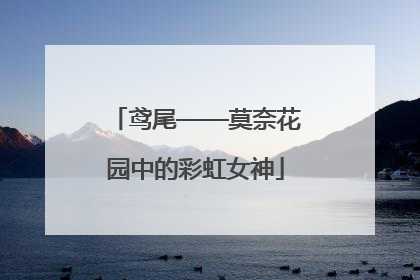 鸢尾——莫奈花园中的彩虹女神