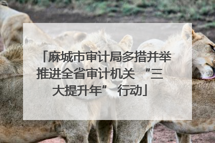 麻城市审计局多措并举推进全省审计机关 “三大提升年” 行动