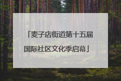 麦子店街道第十五届国际社区文化季启幕