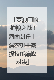 麦浪间的护粮之战！河南封丘上演农机手减损技能巅峰对决