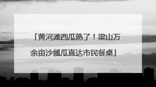 黄河滩西瓜熟了！梁山万余亩沙瓤瓜直达市民餐桌