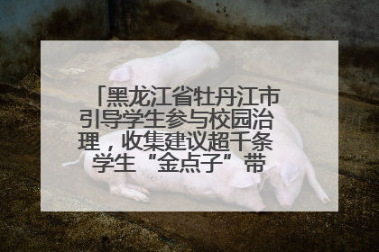 黑龙江省牡丹江市引导学生参与校园治理，收集建议超千条 学生“金点子”带来学校“新样子”