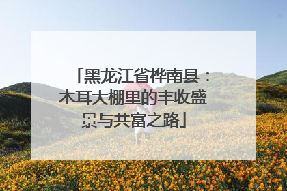 黑龙江省桦南县：木耳大棚里的丰收盛景与共富之路