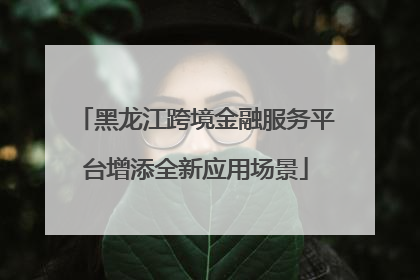 黑龙江跨境金融服务平台增添全新应用场景