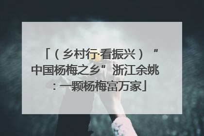 （乡村行·看振兴）“中国杨梅之乡”浙江余姚：一颗杨梅富万家