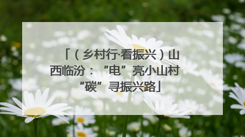 （乡村行·看振兴）山西临汾：“电”亮小山村 “碳”寻振兴路