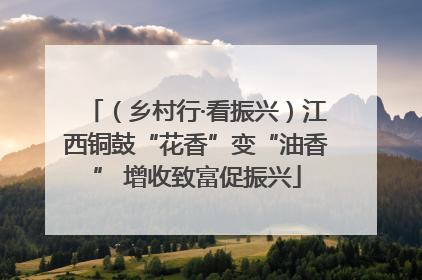 （乡村行·看振兴）江西铜鼓“花香”变“油香” 增收致富促振兴