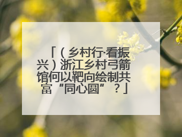 （乡村行·看振兴）浙江乡村弓箭馆何以靶向绘制共富“同心圆”？