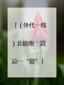 （外代一线）北极熊：清凉一“夏”