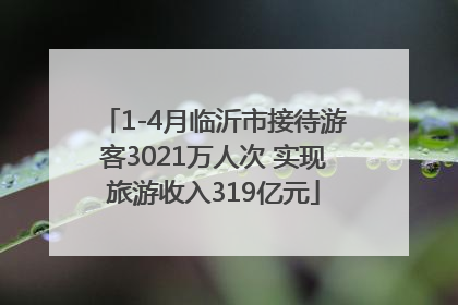 1-4月临沂市接待游客3021万人次 实现旅游收入319亿元