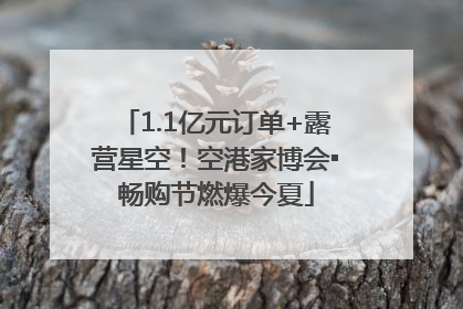 1.1亿元订单+露营星空！空港家博会▪畅购节燃爆今夏