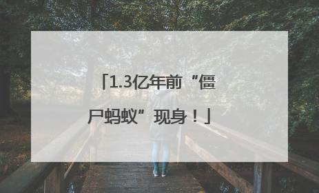 1.3亿年前“僵尸蚂蚁”现身！