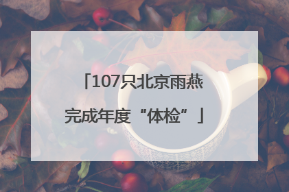 107只北京雨燕完成年度“体检”