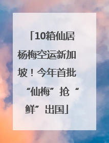 10箱仙居杨梅空运新加坡！今年首批“仙梅”抢“鲜”出国