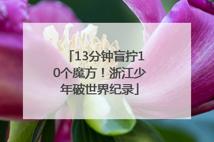13分钟盲拧10个魔方！浙江少年破世界纪录