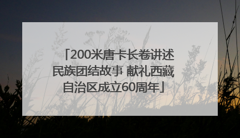 200米唐卡长卷讲述民族团结故事 献礼西藏自治区成立60周年